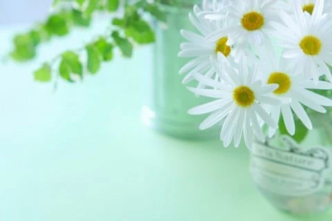 誠実さを形にした「嘘のないコミコミ価格」