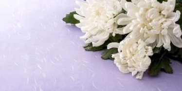 女性スタッフ在籍、きめ細やかなサービスをご提供いたします