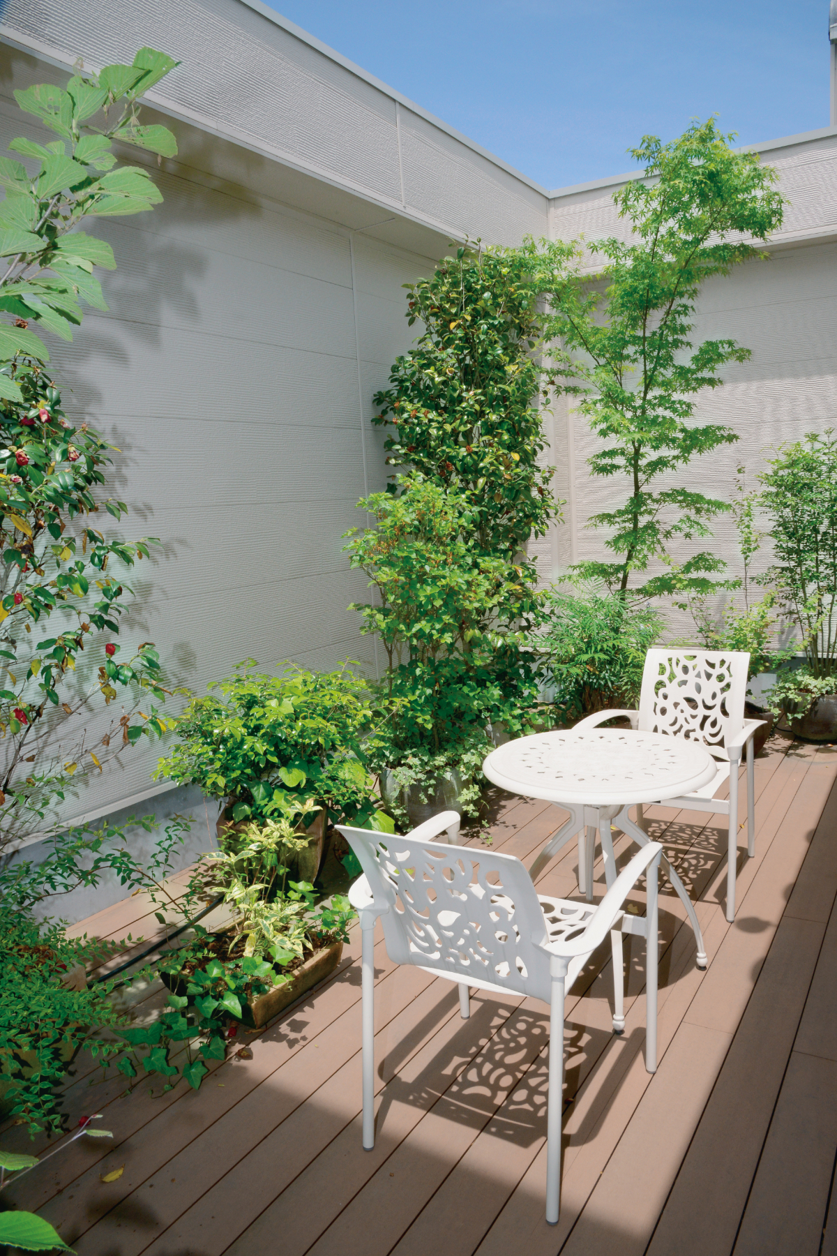 メイプルホール・ファミリー寝屋川東