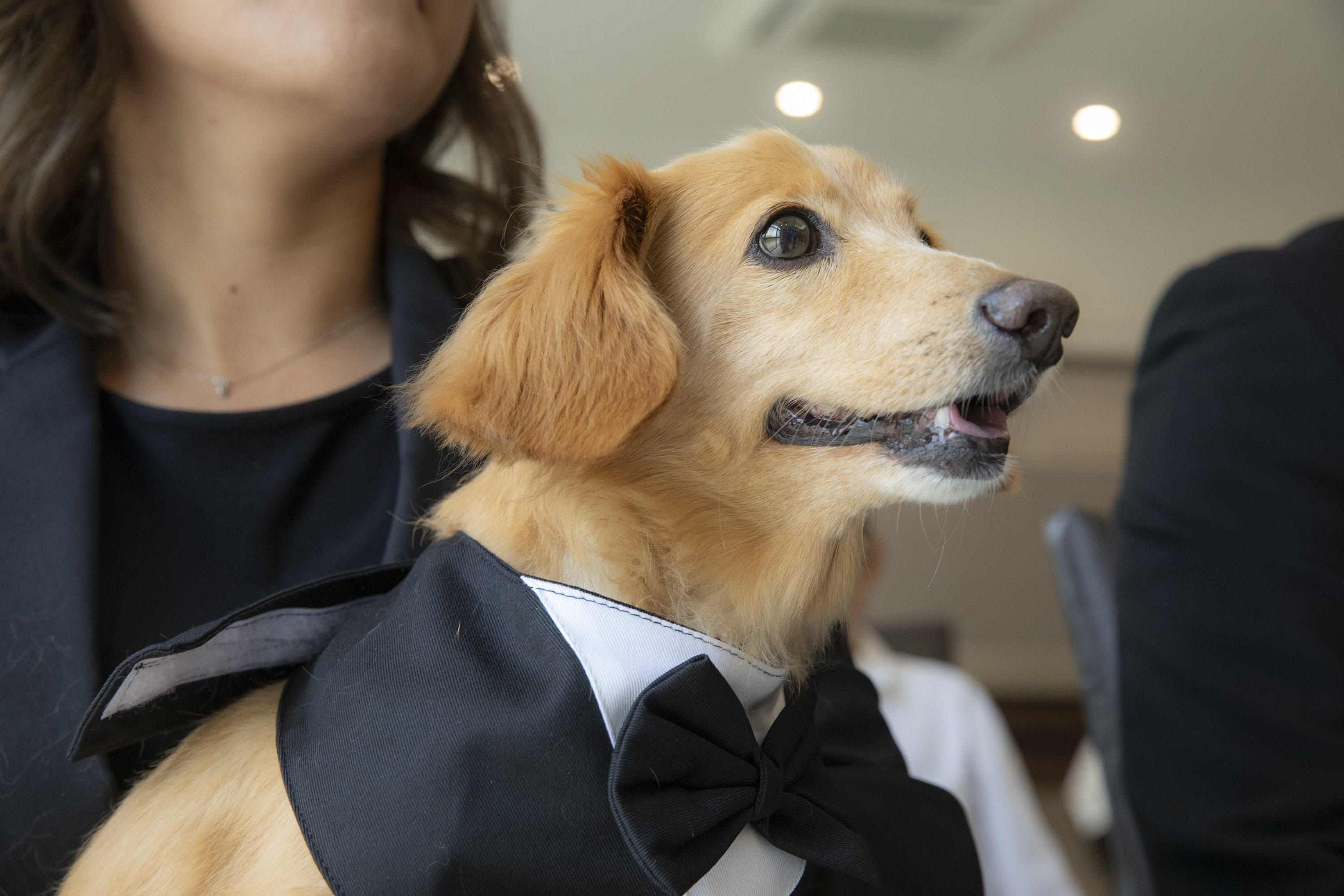 ユアホール蛍池