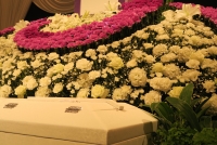 アイワセレモニーの施行例