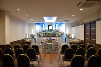 トレセレの施行例