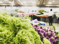 羅漢会館の施行例