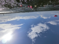 海洋散骨のブルーオーシャンセレモニーの施行例