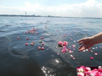 海洋散骨のブルーオーシャンセレモニーの施行例