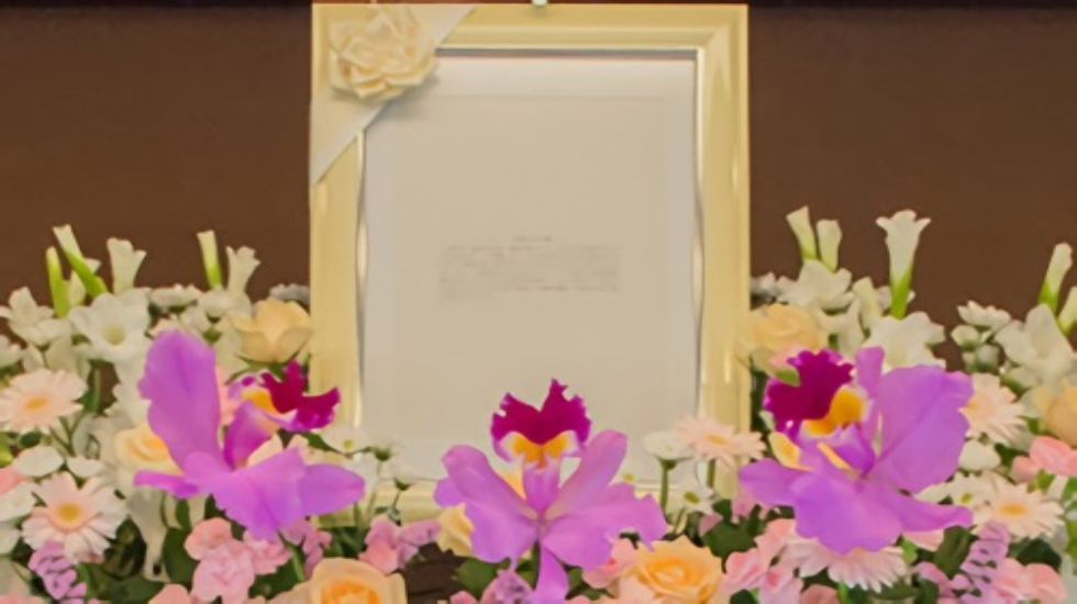 株式会社セレベル