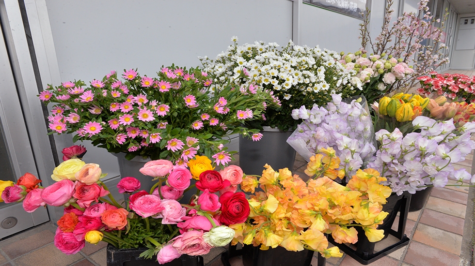 メモリアルホールゆら