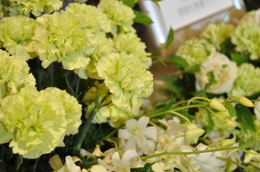 ウィルかわさき