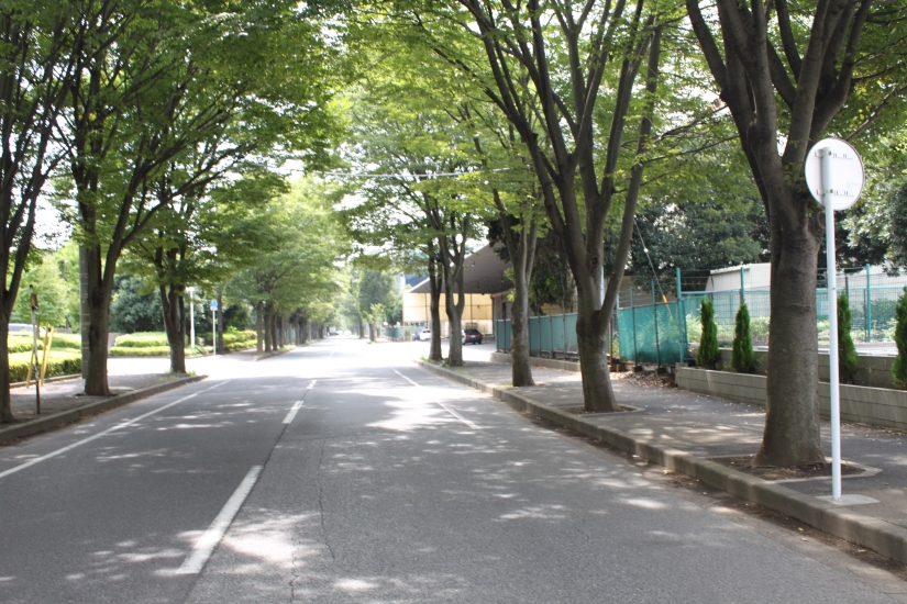 ならしのガーデンホール