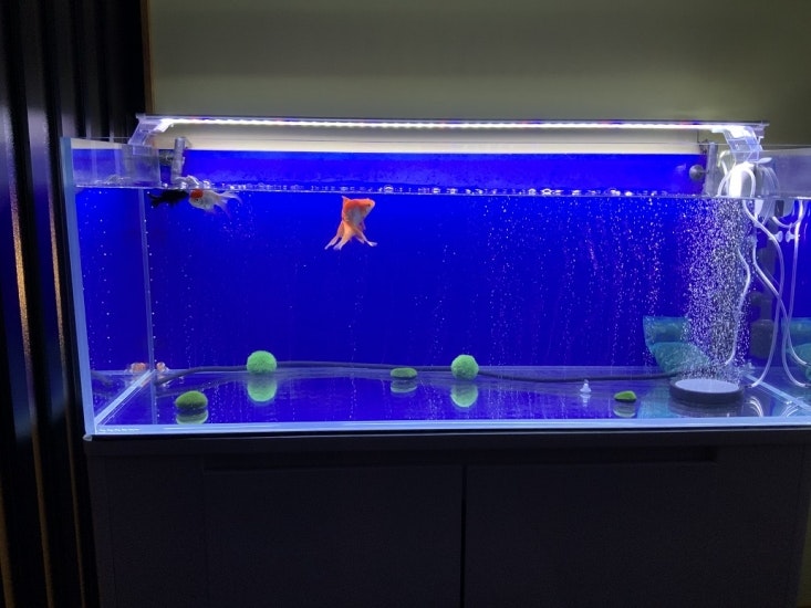 家族葬の偲 小倉南会館