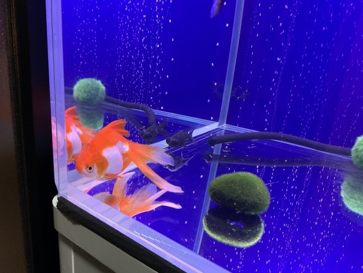 家族葬の偲 小倉南会館