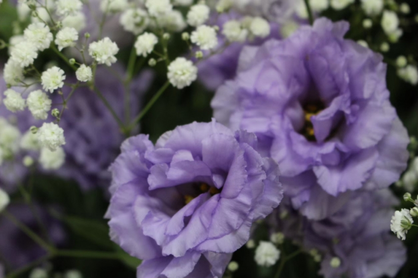 一日葬の中央福祉会館