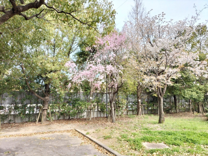 吹田市立やすらぎ苑