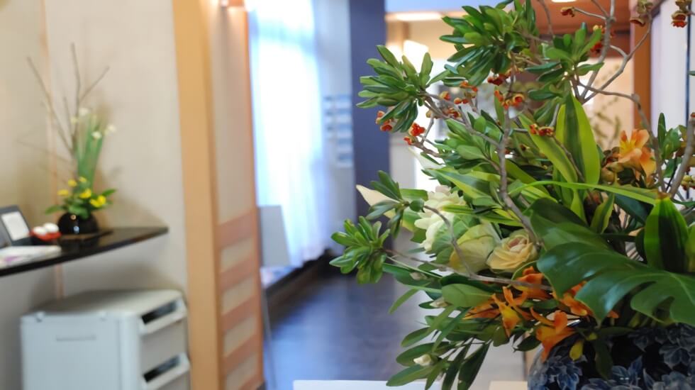 寂圓寺 法輪閣 至心閣