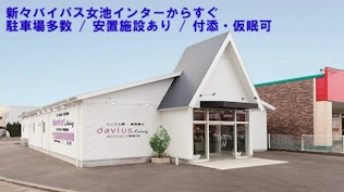 ダビアスリビング新潟中央