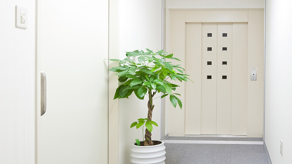 ライフガーデンたいしょうホール