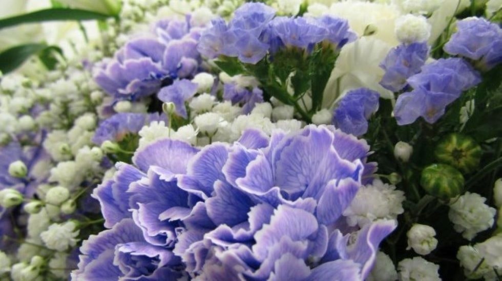 ベルホール真美ヶ丘