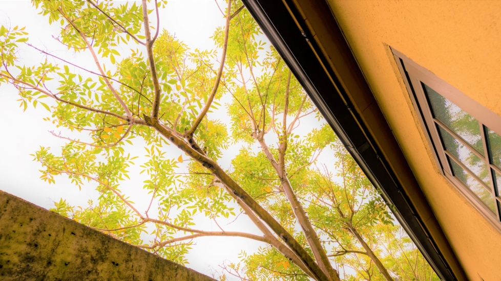 ドリーマー 今治中寺葬祭館