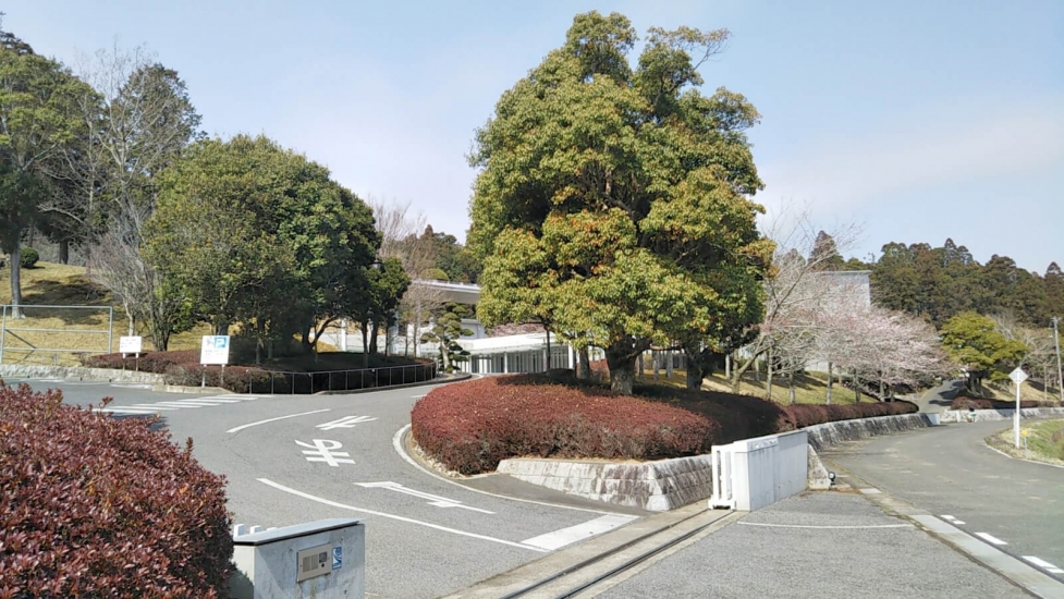 山桑メモリアルホール