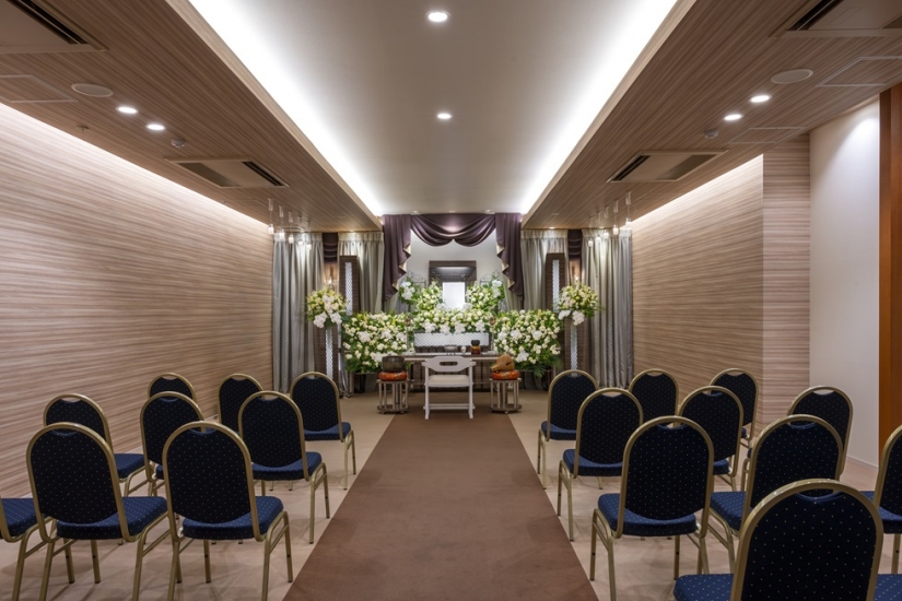 とわノイエ さくら想