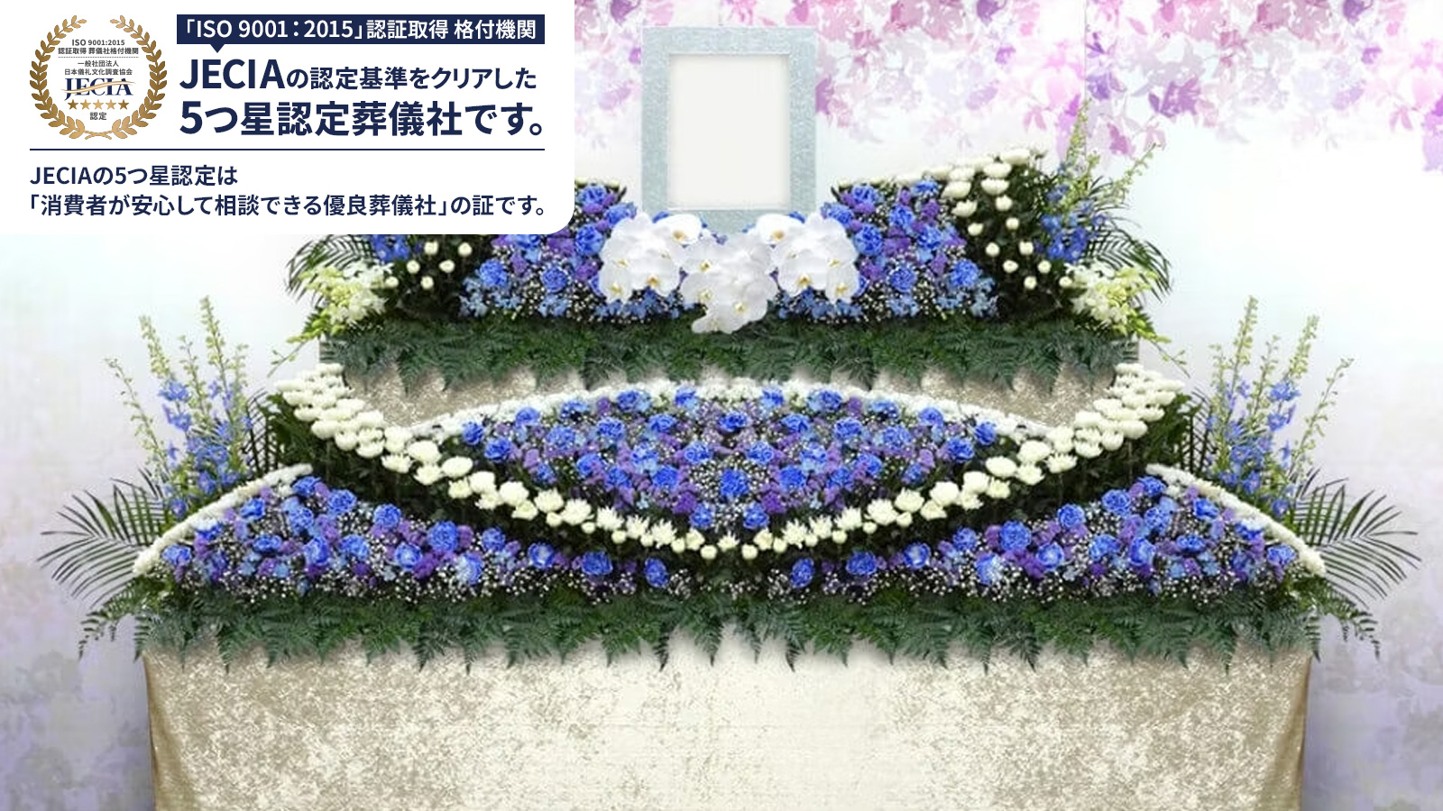 費用固定プラン